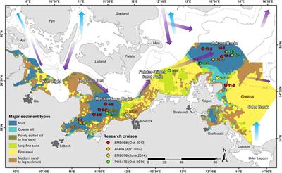 Natural and Anthropogenic Sediment Mixing Processes in the South-Western Baltic Sea